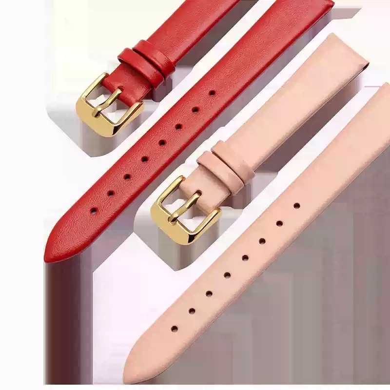 Daniel Wellington Watches & Jewelry Online Store - Accesorios para reloj, correa de reloj