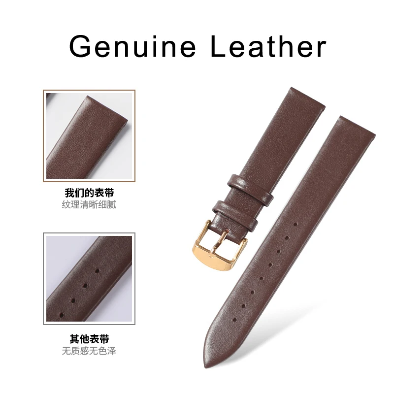 Accesorios para reloj, correa  - Daniel Wellington Watches & Jewelry Online Store reseña y precio